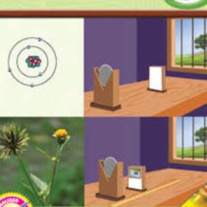 Integrated science grade eight