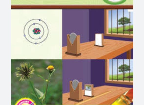 Screenshot_20251022-113456